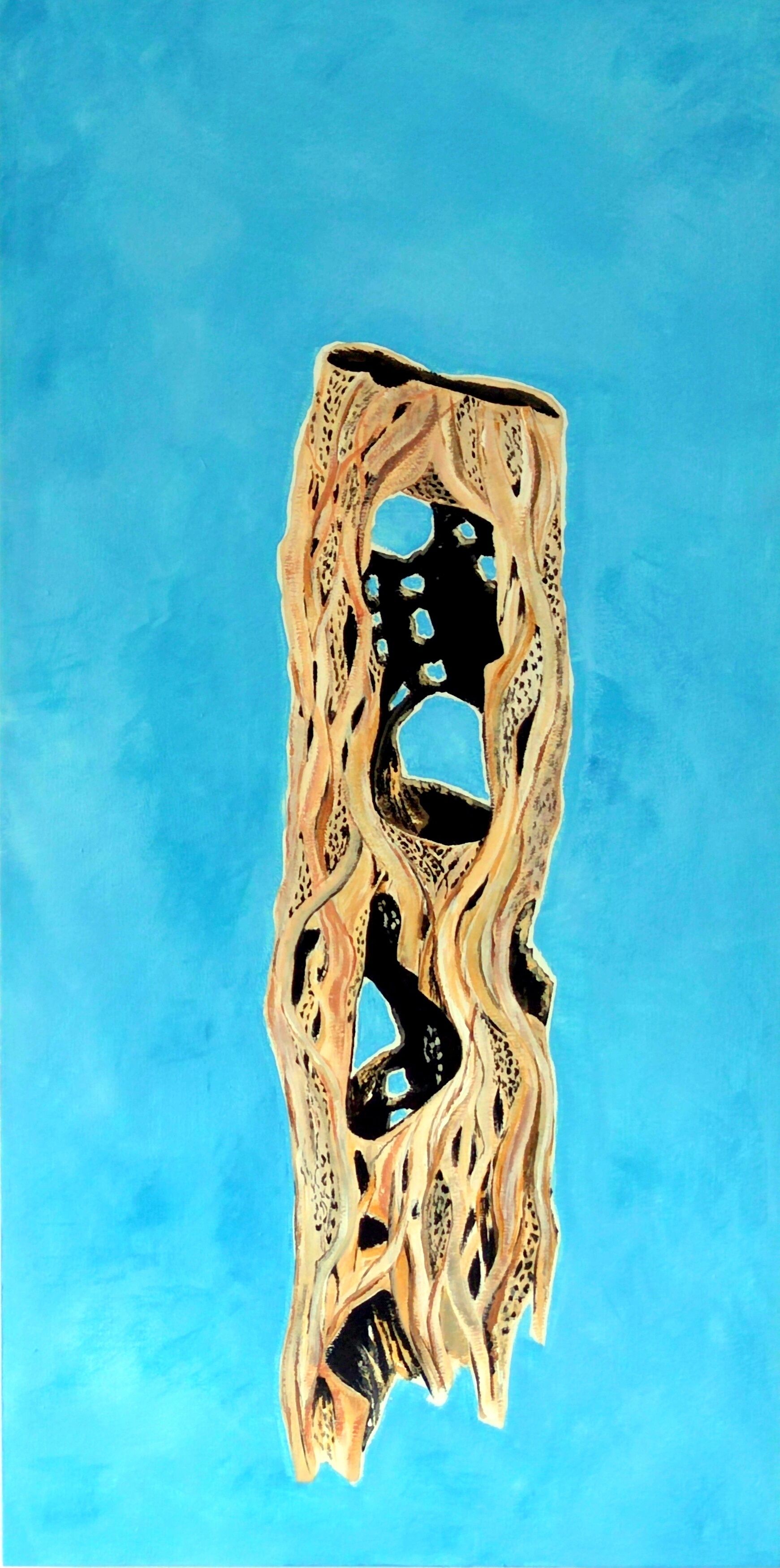 Picture "cholla" (2024)