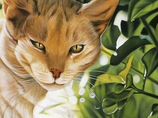 Picture "Il Gatto" (1994)