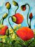 Picture "Orange poppies" (2016)