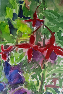 Picture "Fuchsias and cranesbill" (2021)