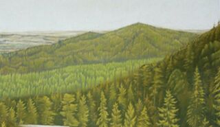 Picture "Remote view" (2013)