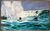 Picture "Surfer's paradise" (2022)