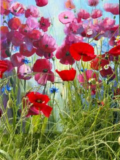 Bild "Poppies Land 11" (2024)
