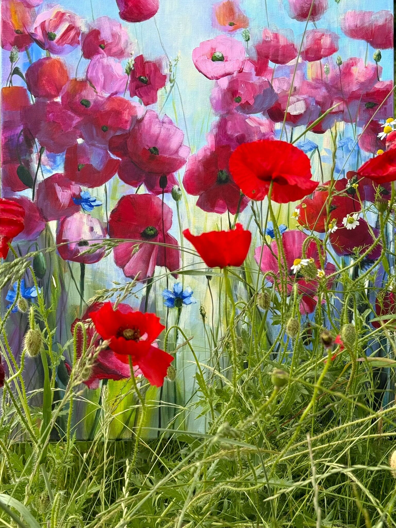 Bild "Poppies Land 11" (2024)