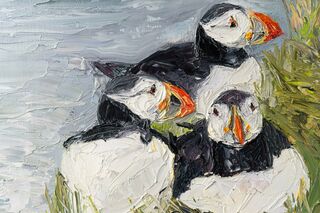 Picture "Puffin" (2013)