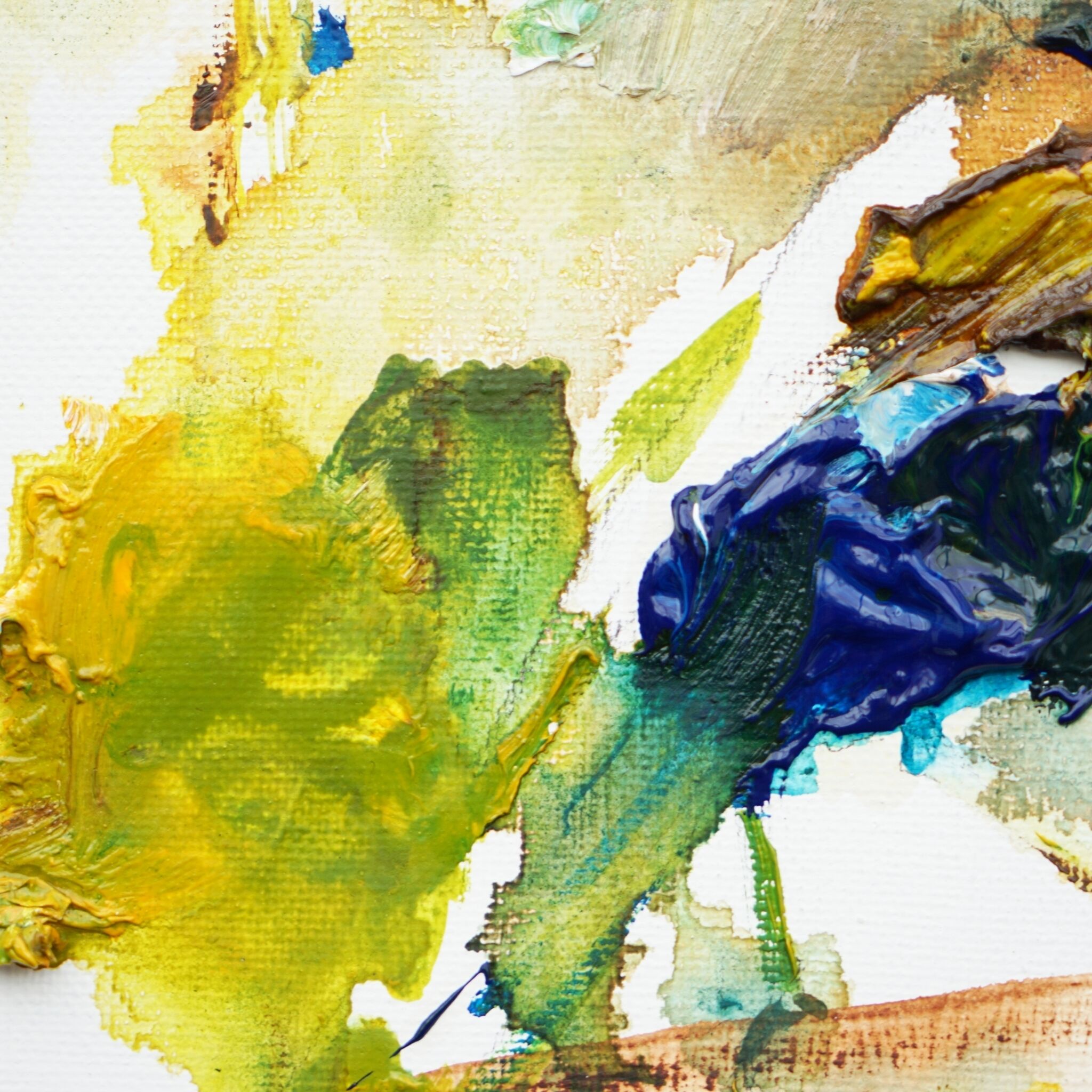 Picture "Rare bird IX" (2025)