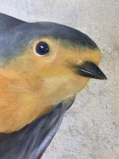 Picture "Robin" (2021)