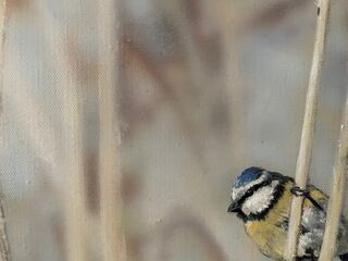 Picture "Blue tit in reeds" (2019)