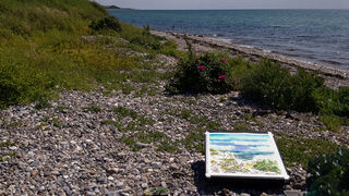 Picture "Jørbæk /Ærø/Baltic Sea" (2022)