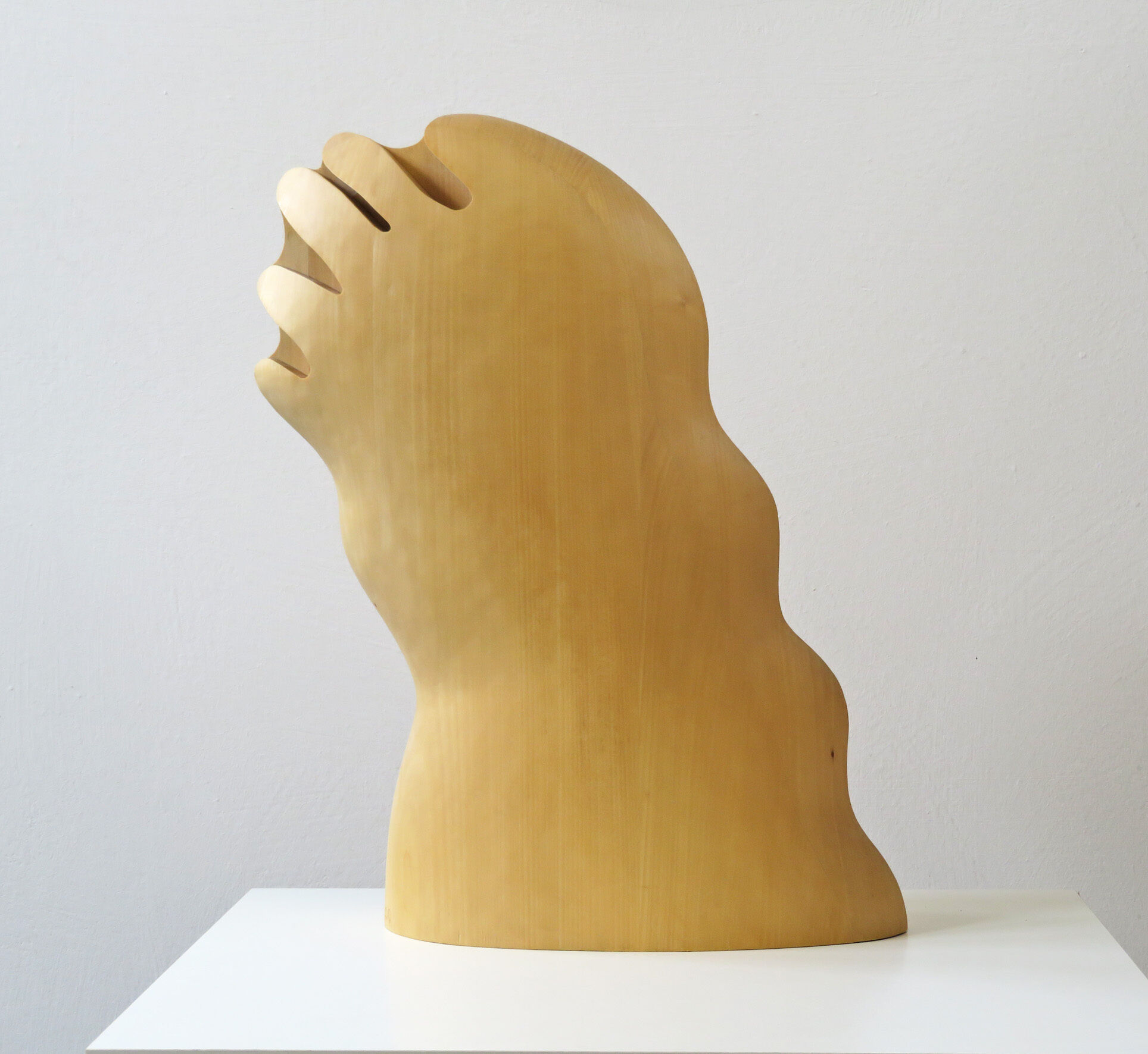 Sculpture "Small head hand" (2000)