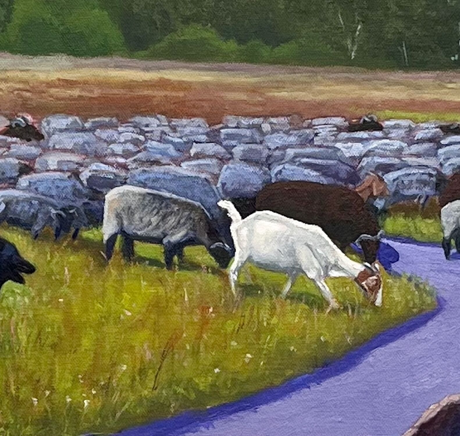 Picture "Ge(mäh)chlich in the Schneverdinger Heide" (2025)