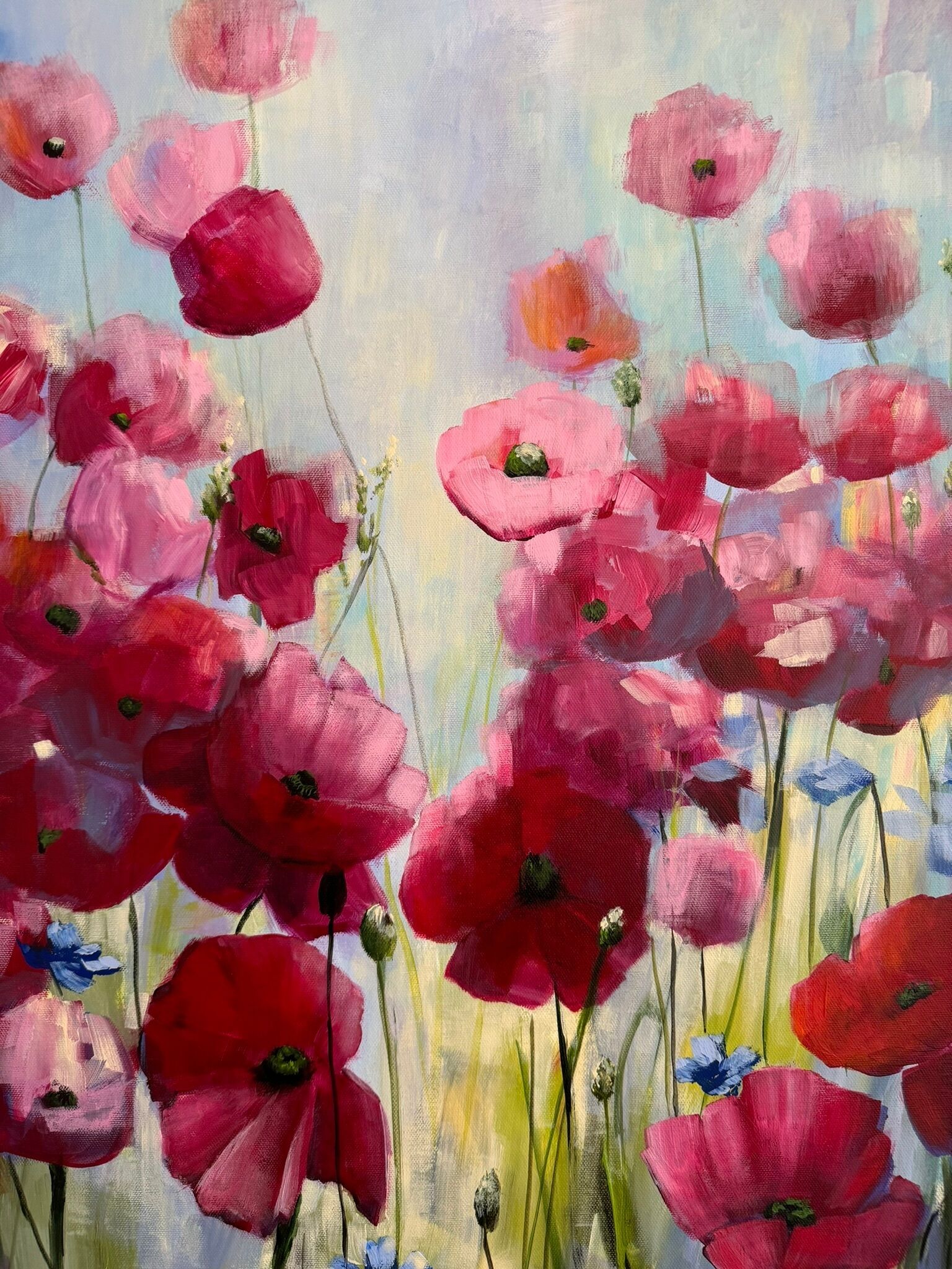 Bild "Poppies Land 11" (2024)