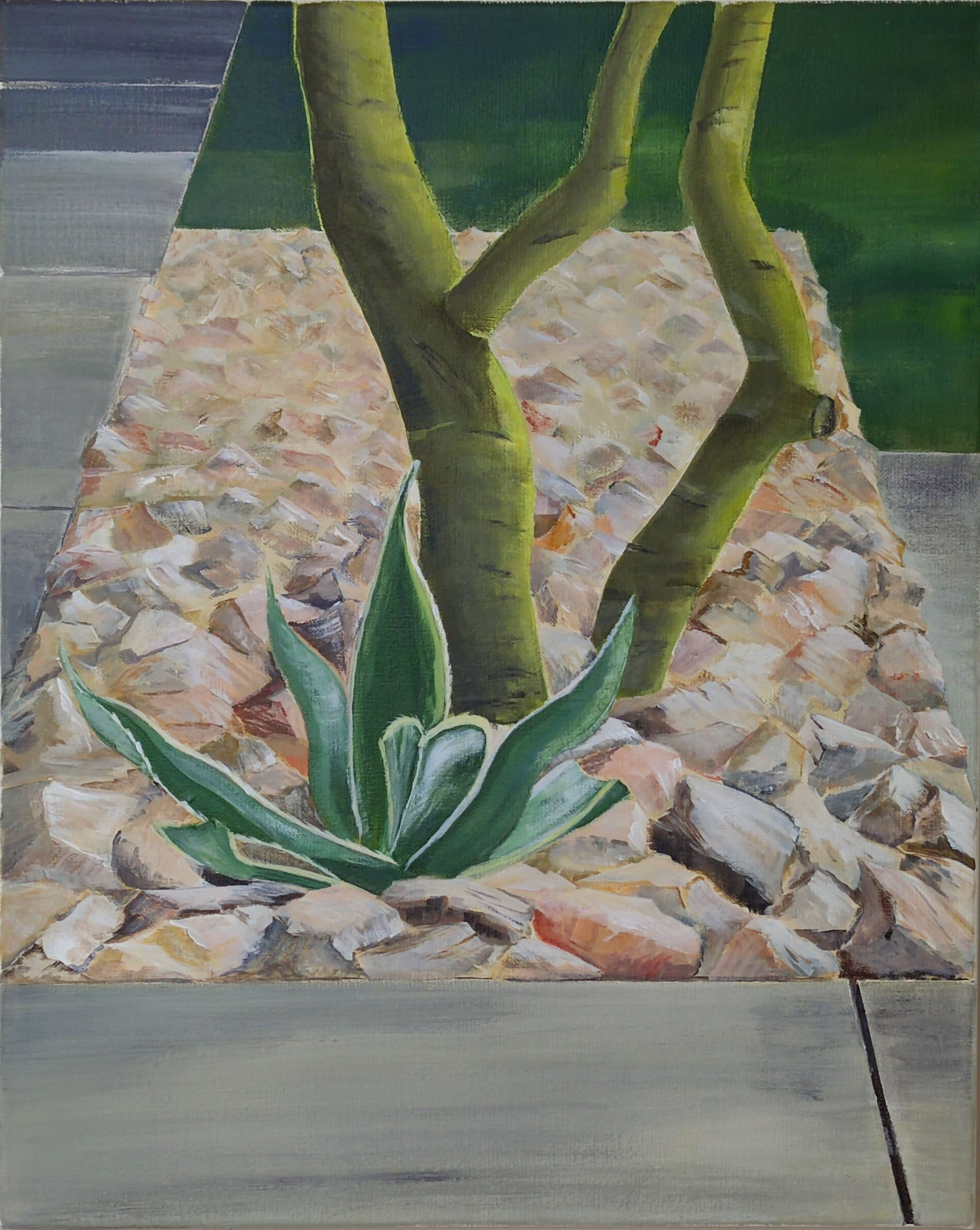 Bild "Agave" (2007)