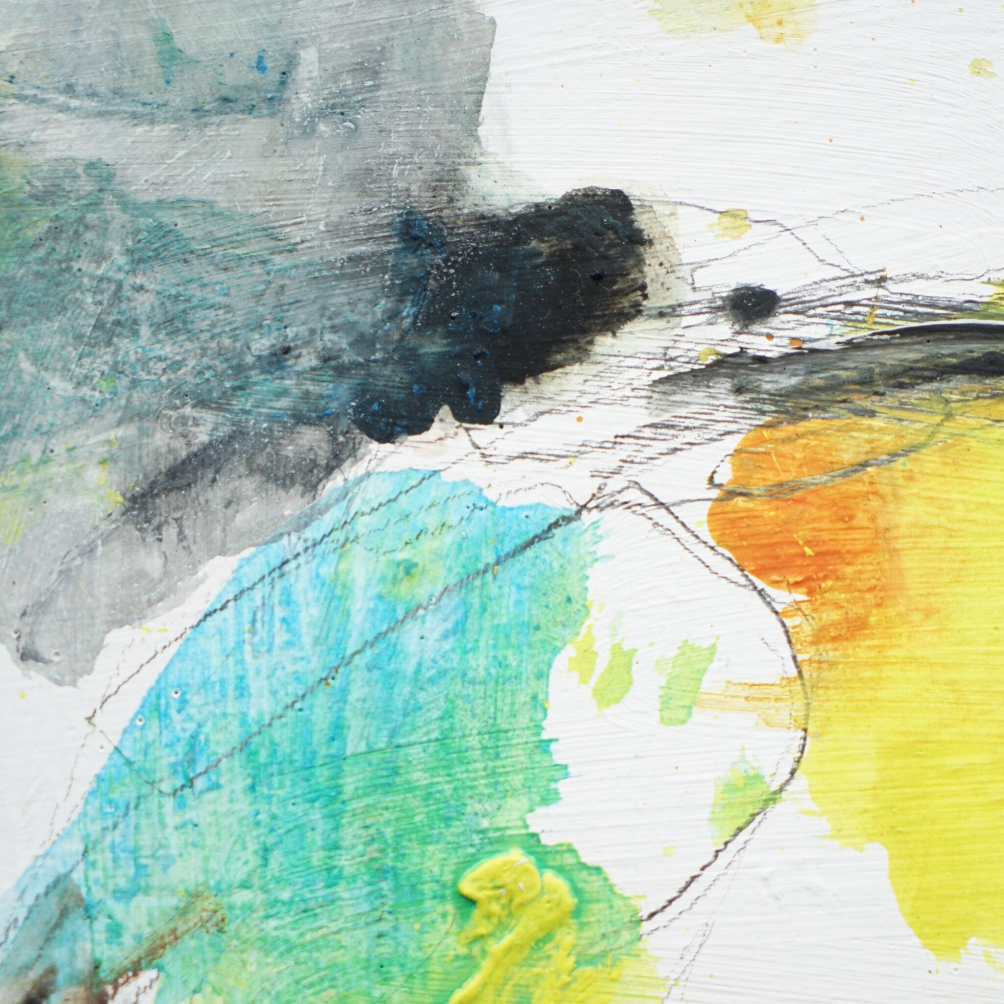 Picture "Rare bird IV" (2025)