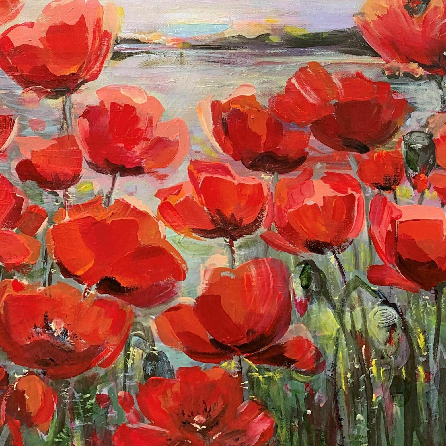 Bild "Poppy flowers II" (2023)