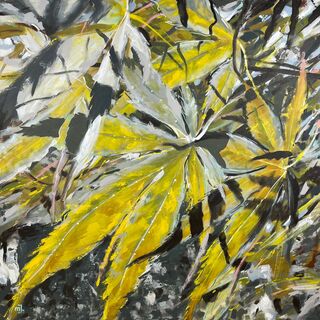 Bild "Acer palmatum 7" (2024)