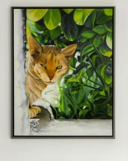 Picture "Il Gatto" (1994)