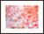 Picture "When it Blooms II" (2024)
