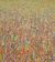 Picture "Claim 11 - high-quality painting" (2019)