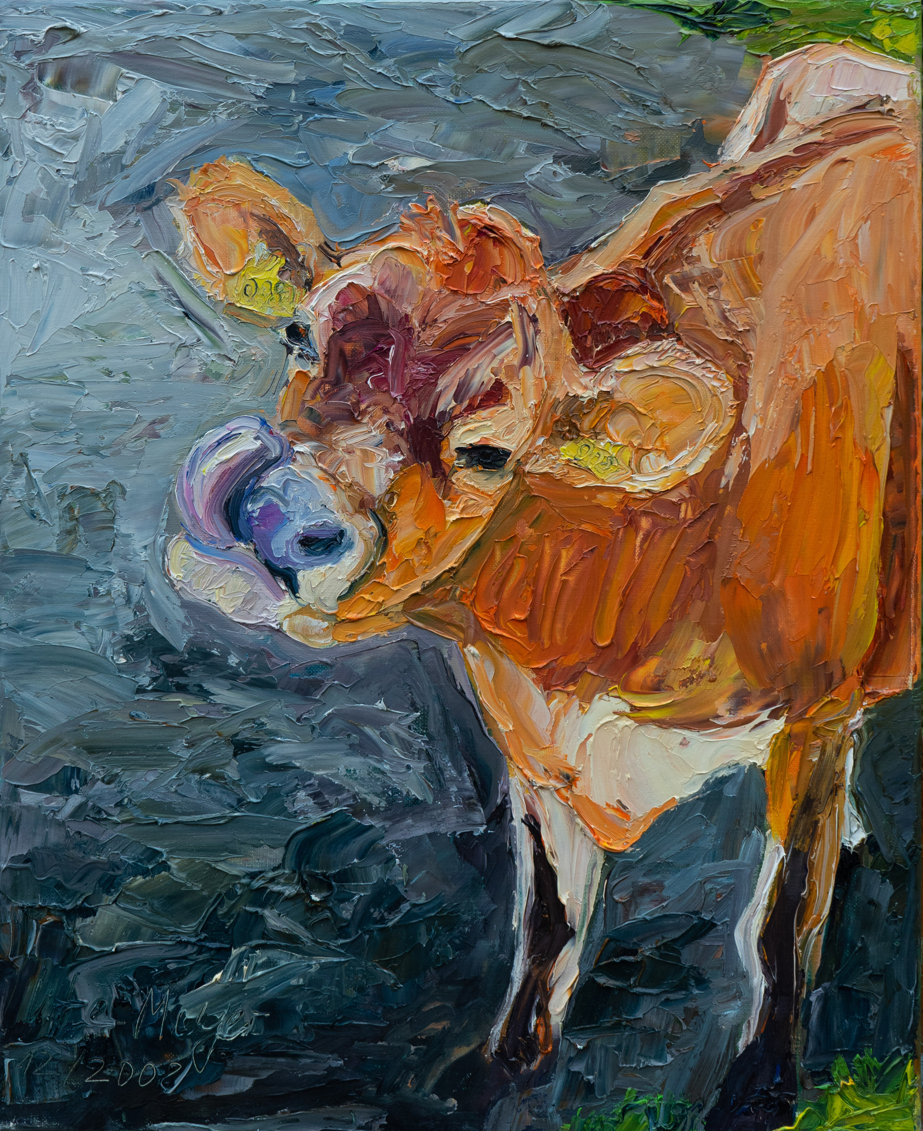 Picture "Jersey cow / Ærø" (2008)