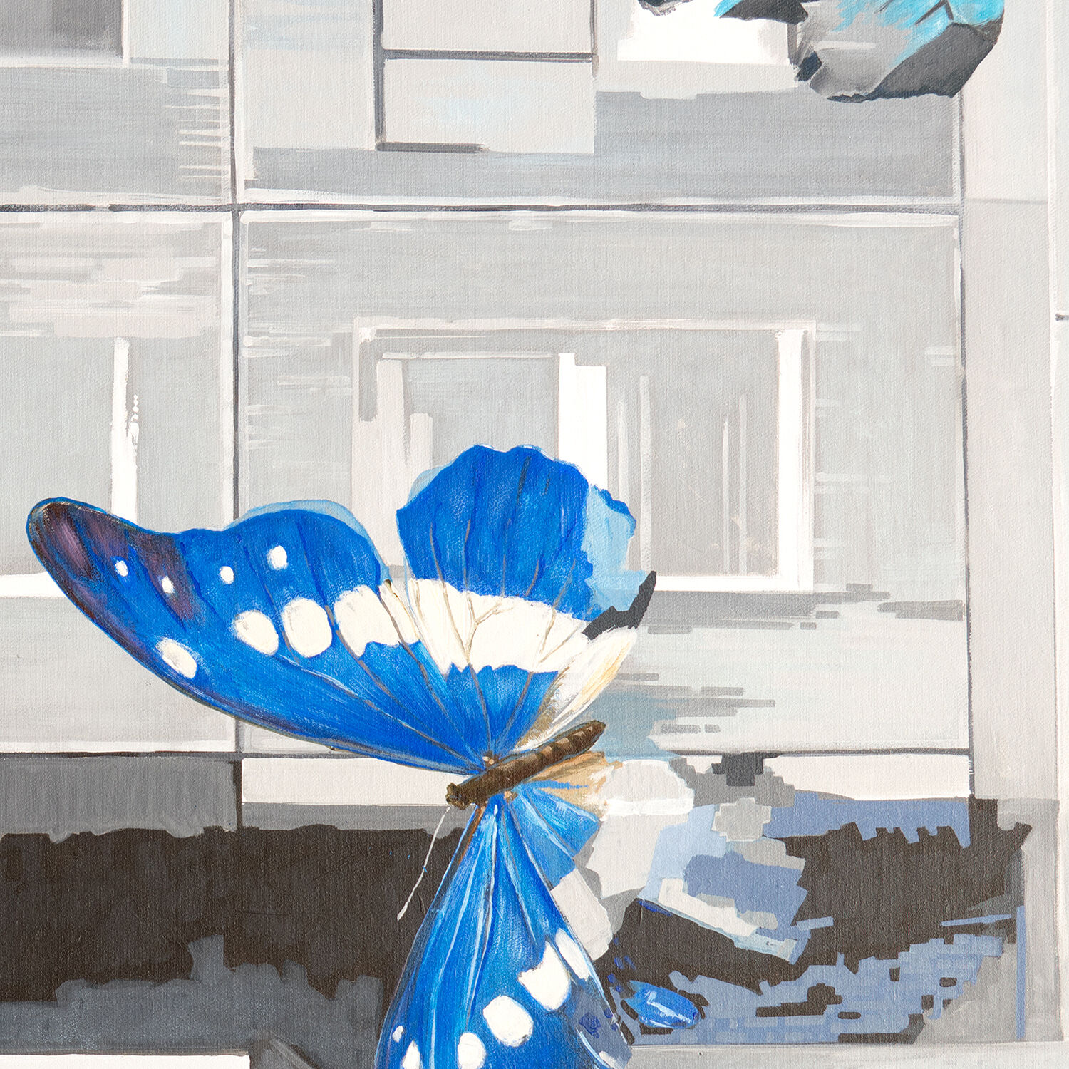 Bild "Lepidoptera, Schmetterlinge" (2014)