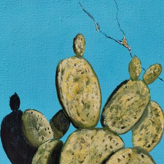 Picture "cactus with turquoise wall" (2009)