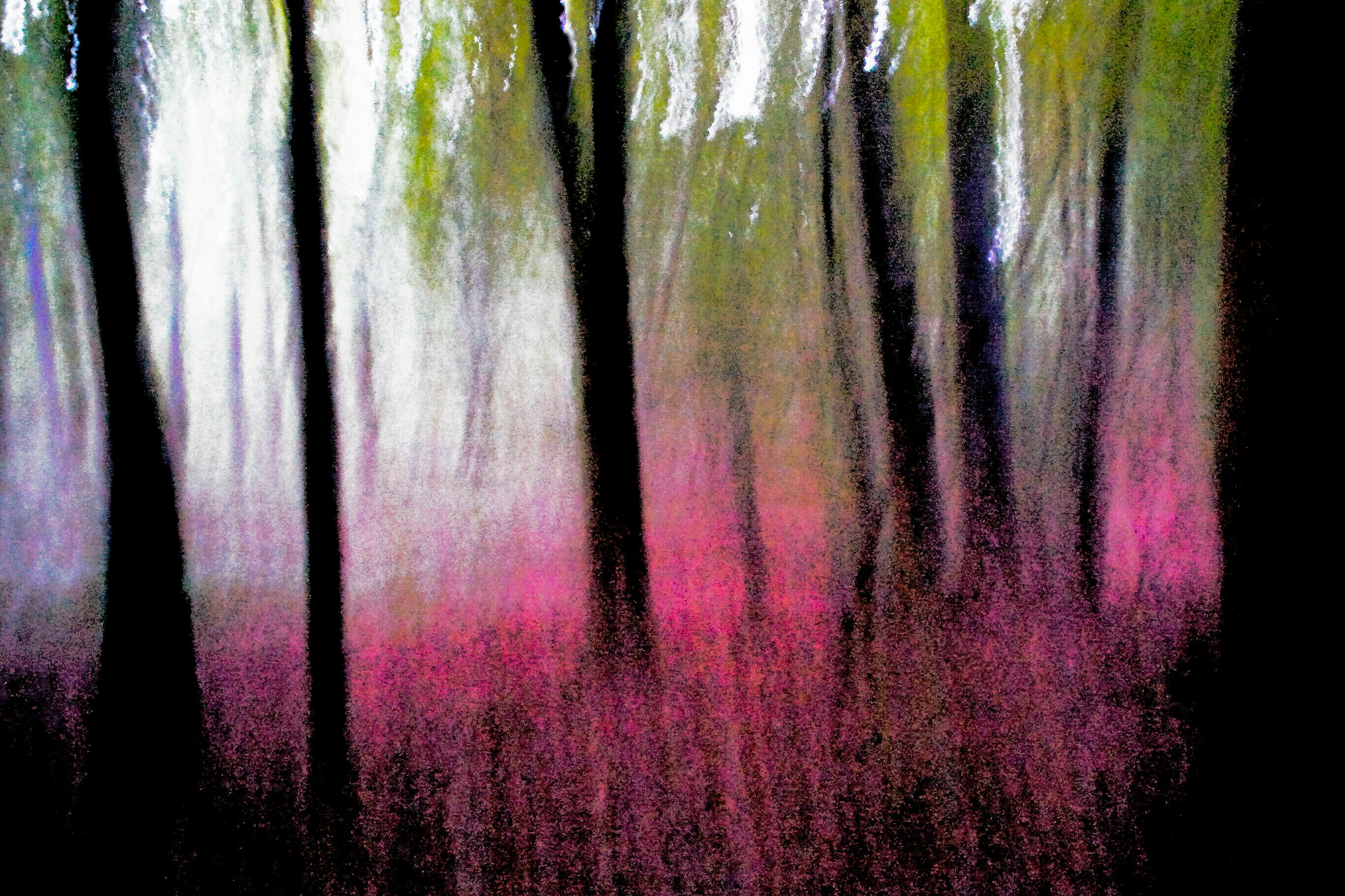 Picture "Heath Forest" (2008)