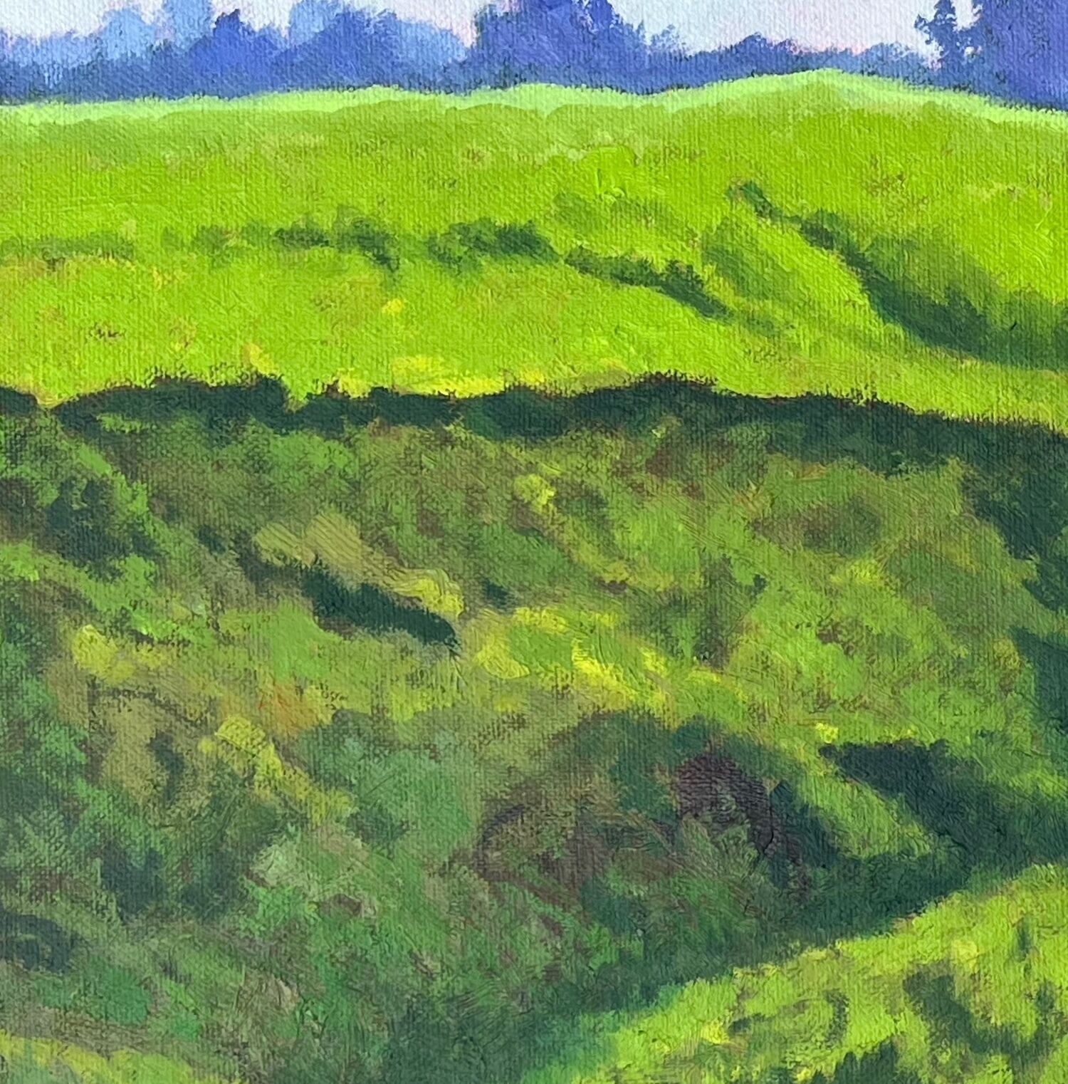 Picture "Sheep at the Wiembecke, Hornoldendorf." (2024)