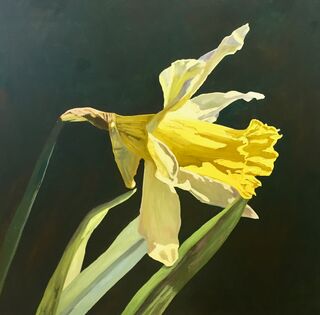 Picture "Daffodil No.6" (2021)