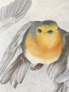 Picture "Robin" (2021)