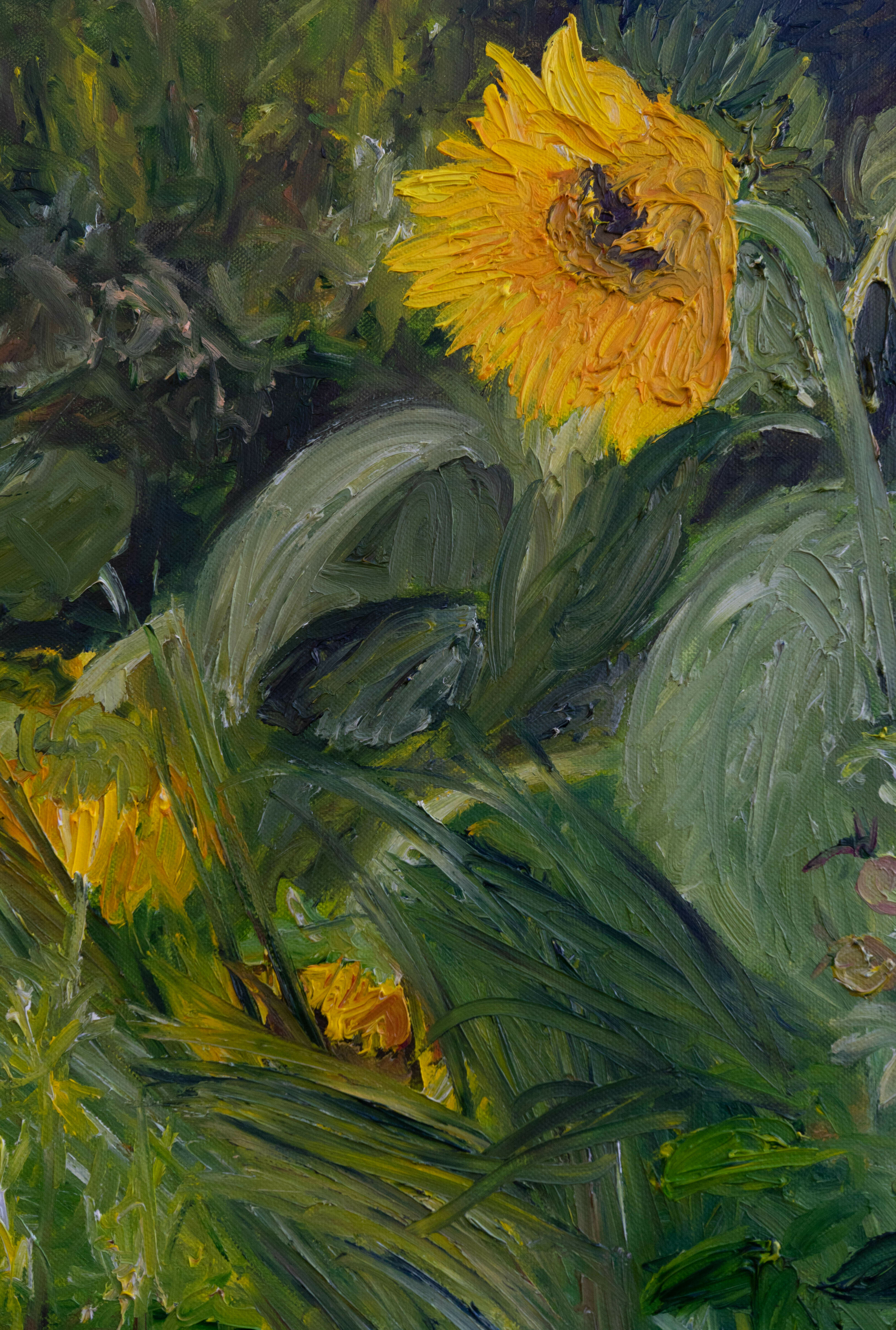 Bild "Sonnenblumen" (2016)