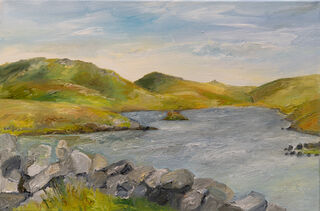 Bild "Shetland / West Mill Loch" (2008)