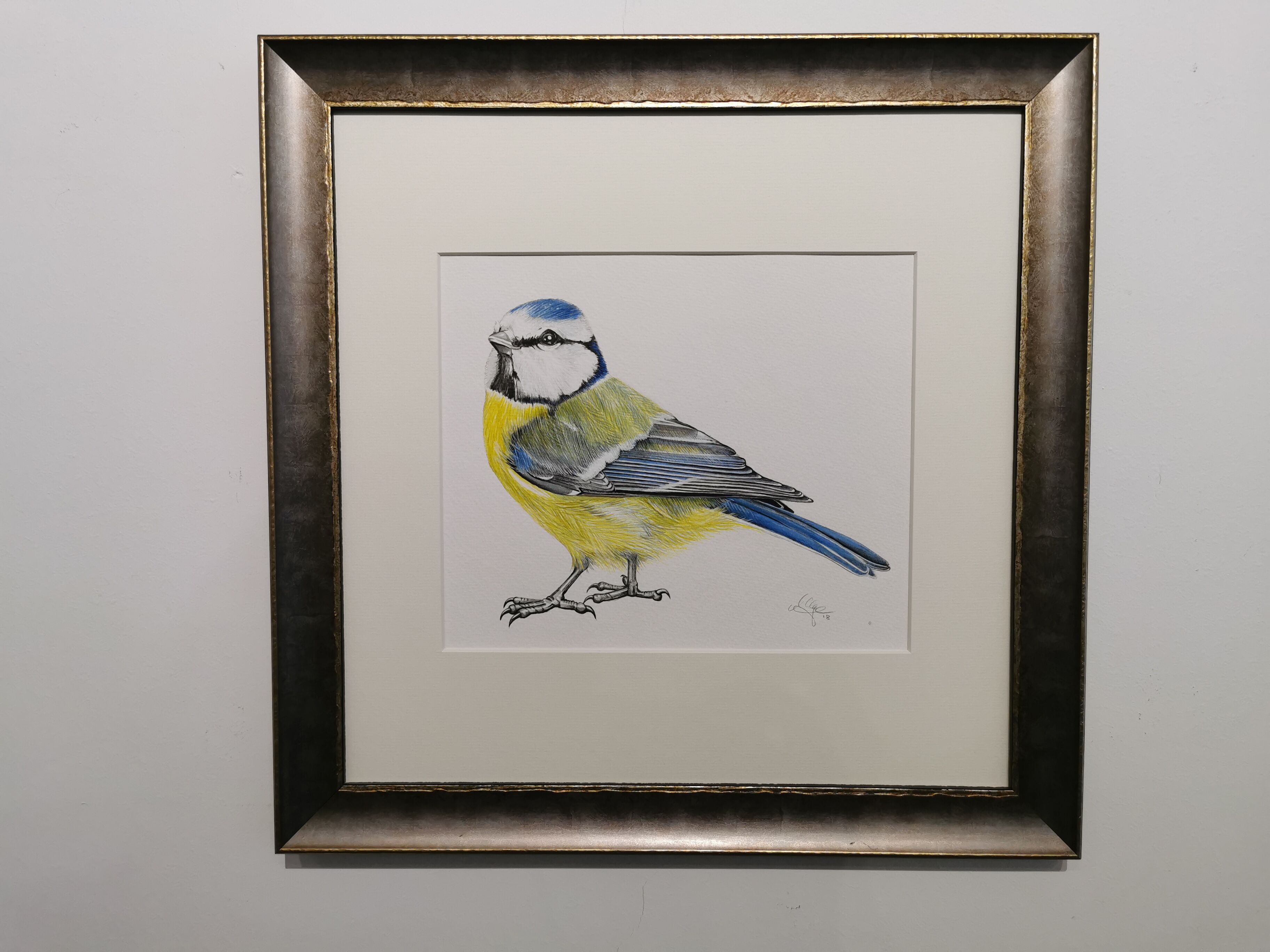 Picture "The blue tit" (2018)