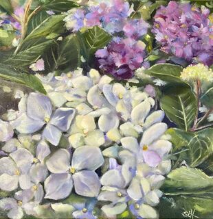 Bild "Hortensien (Werk-Nr. 200805)" (2020)