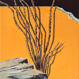 Picture "Ocotillo in front of yellow wall" (2009)