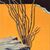 Picture "Ocotillo in front of yellow wall" (2009)