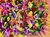 Picture "In full bloom" (2023)