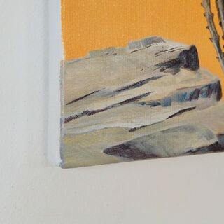 Picture "Ocotillo in front of yellow wall" (2009)