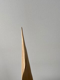 Sculpture "Venus horn" (2018)