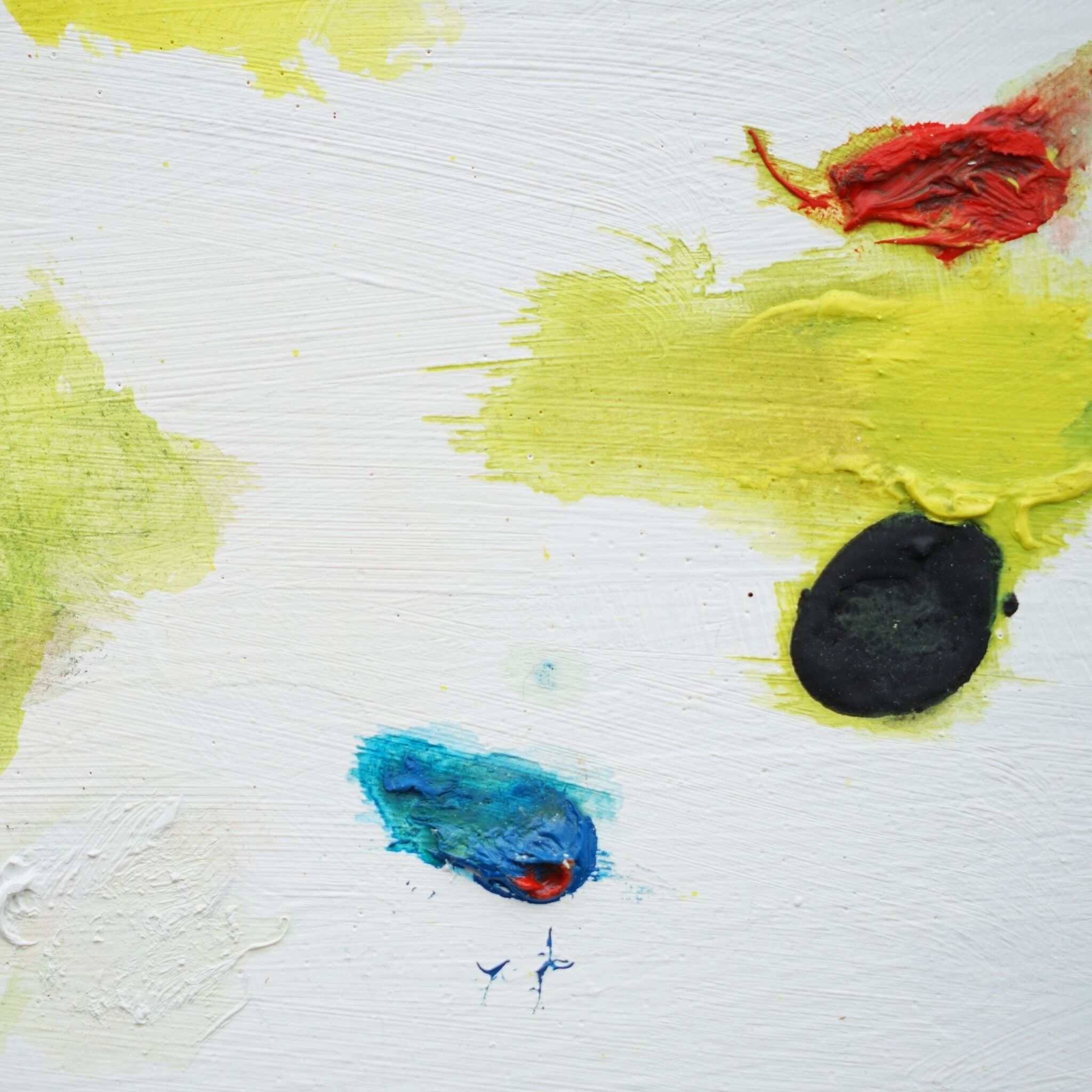 Picture "Rare bird IV" (2025)