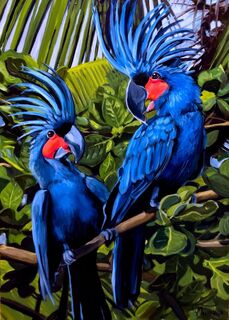 Picture "Whispers in Blue: The Curious Cockatoos" (2024)