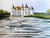 Bild "Schloss Glücksburg - Ostsee | Werk-Nr. 200903" (2020)