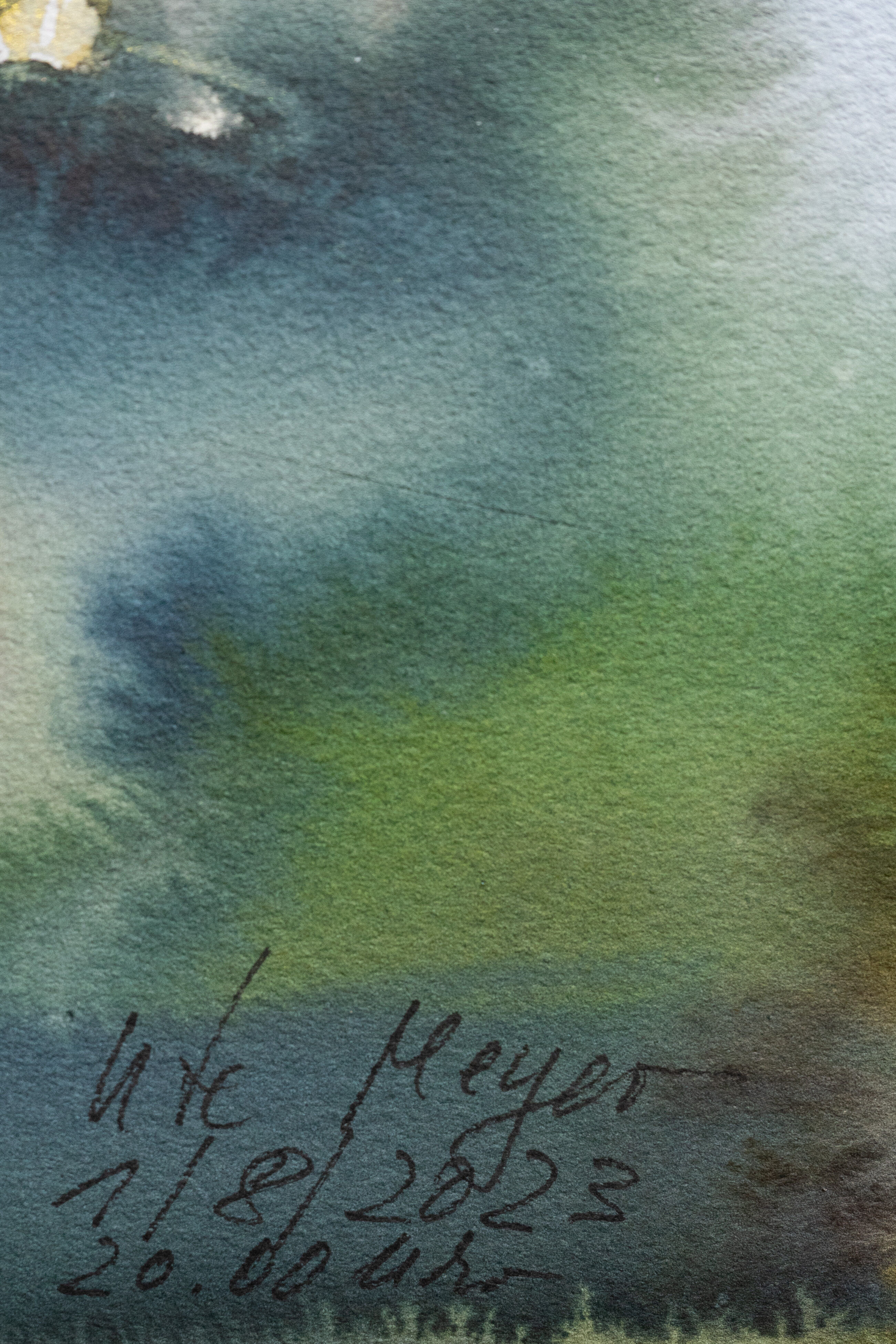 Picture "Water lilies" (2023)