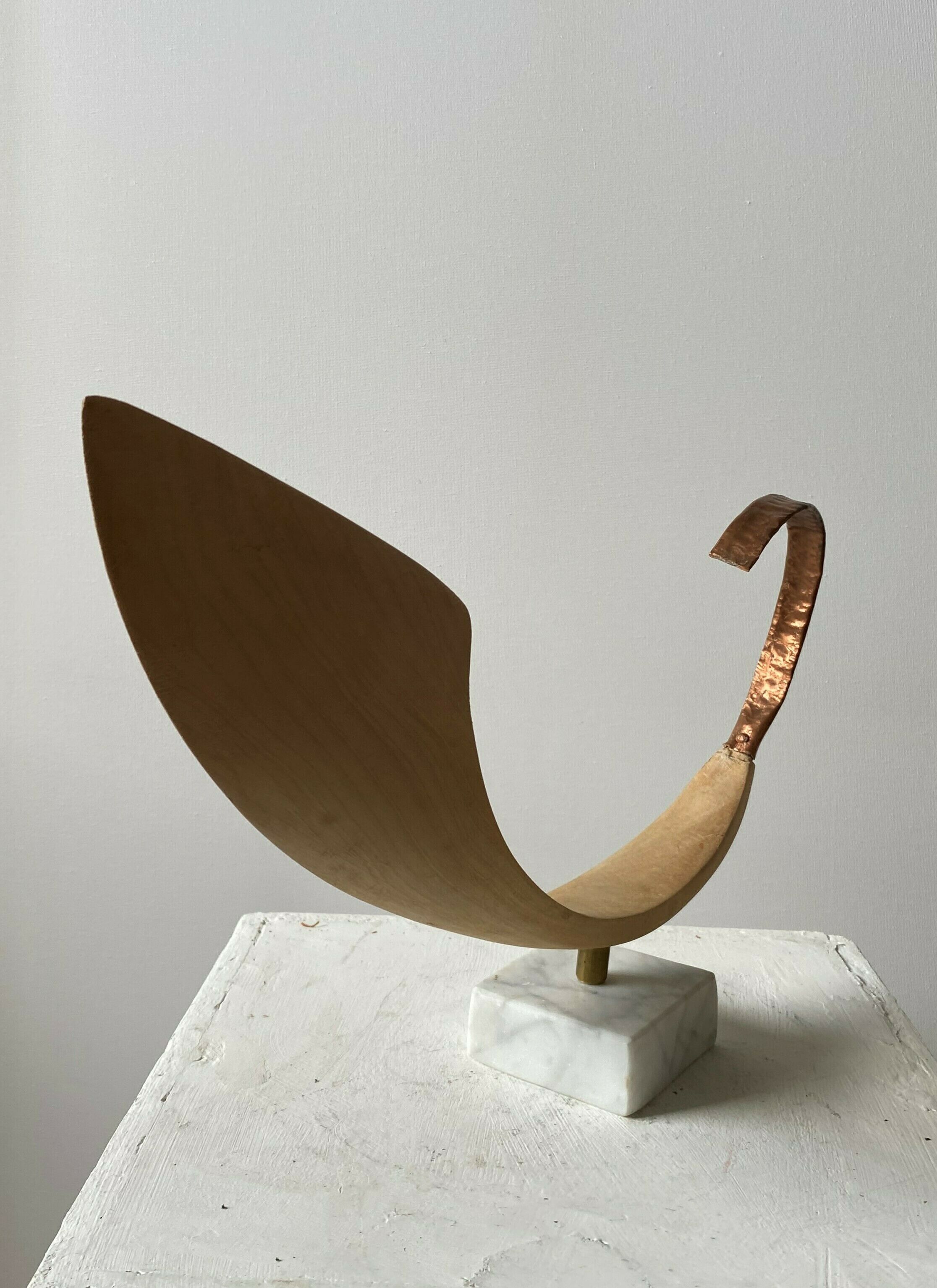 Sculpture "Venus horn" (2018)