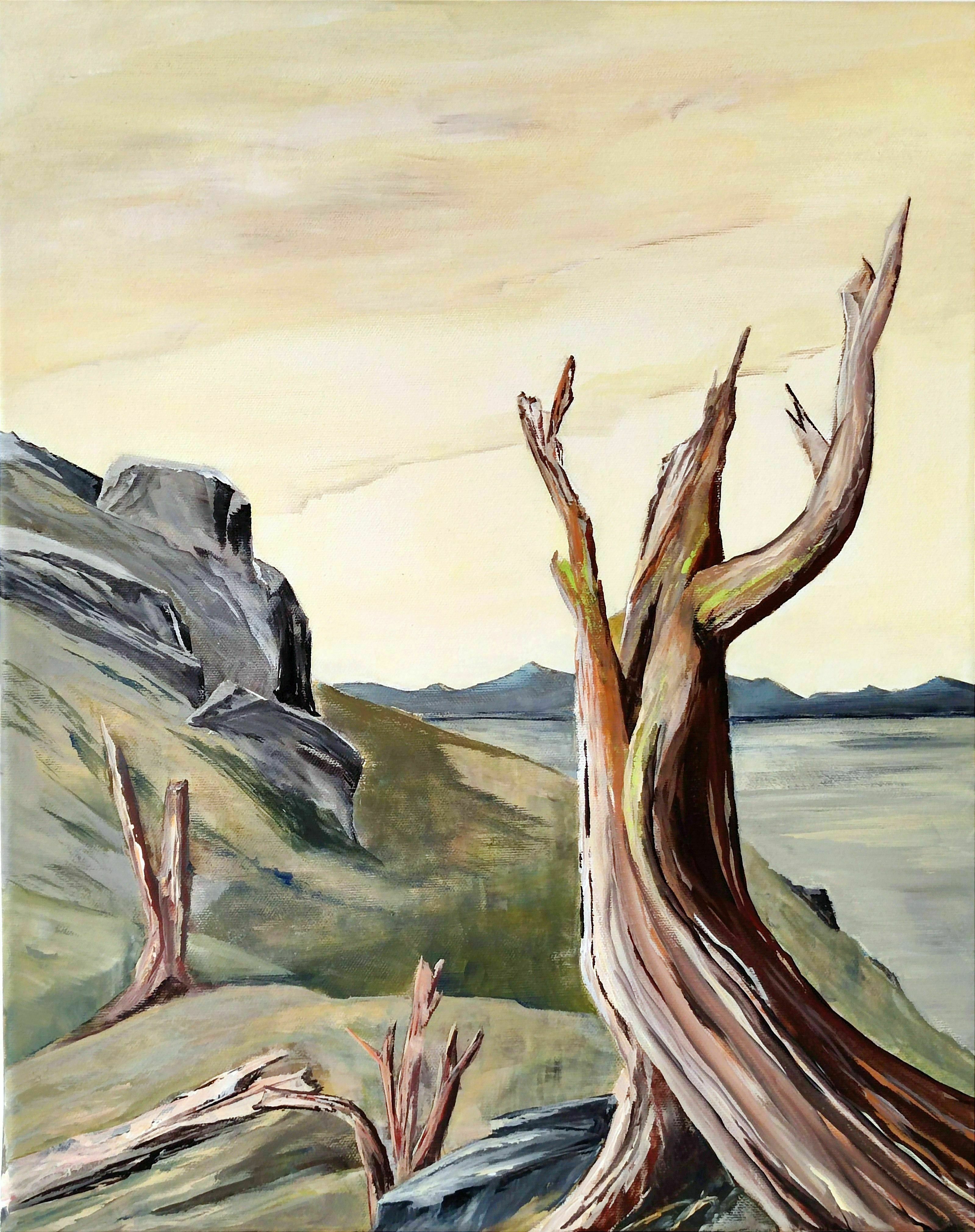 Picture "Lake Tahoe" (2004)