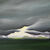 Picture "Light on the horizon" (2024)