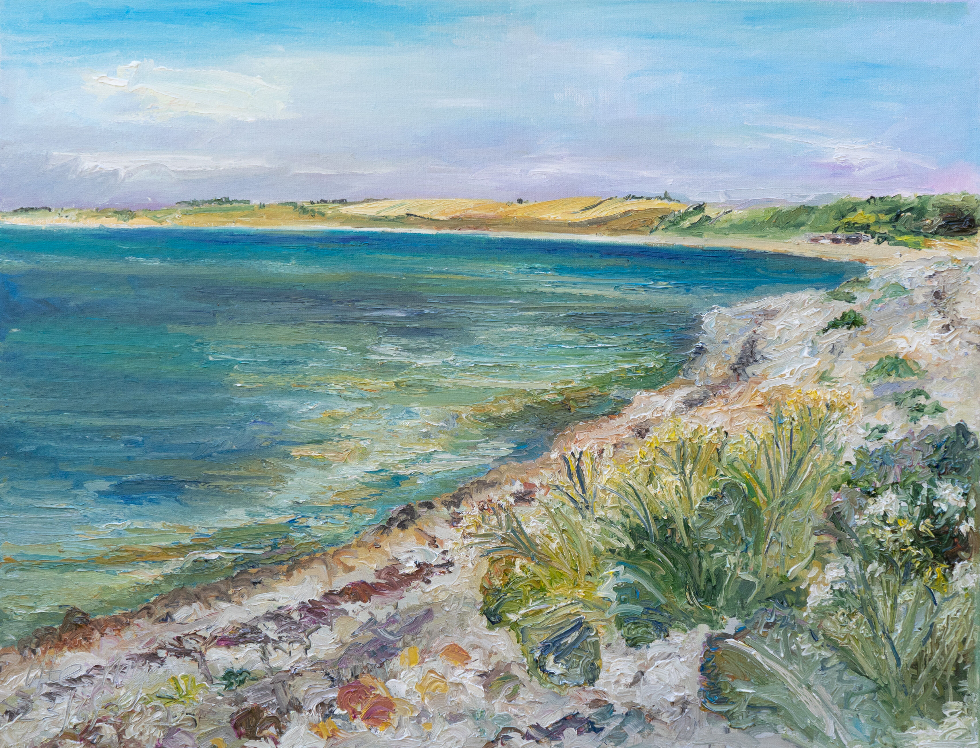 Picture "Baltic Sea / Ærø / Vitsø" (2022)