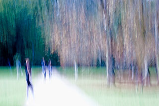 Picture "Long hair in park" (2010)