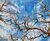 Picture "Reflection 17" (2024)