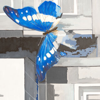 Bild "Lepidoptera, Schmetterlinge" (2014)